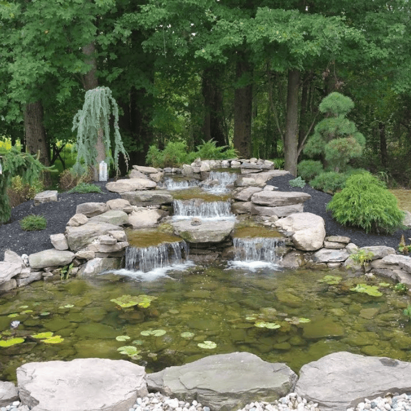 Backyard Pond Design